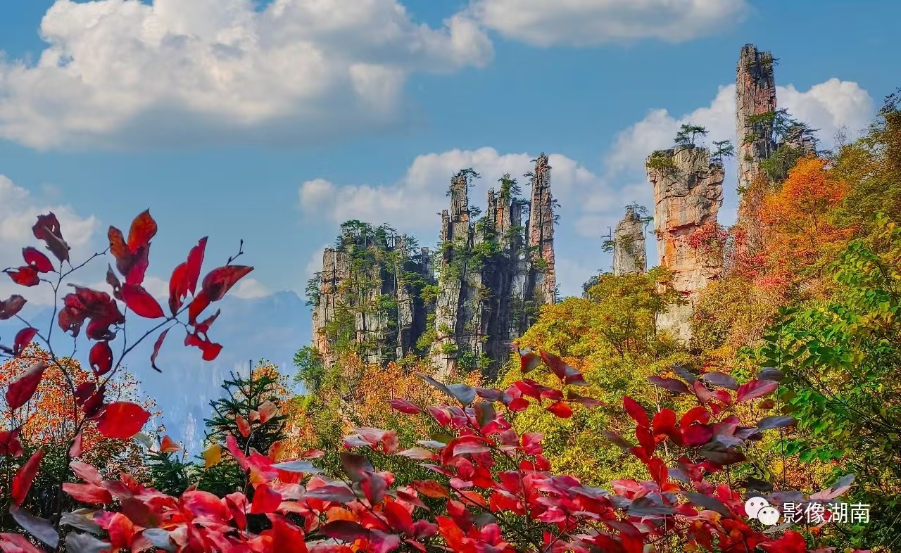 微信圖片_20241106090357